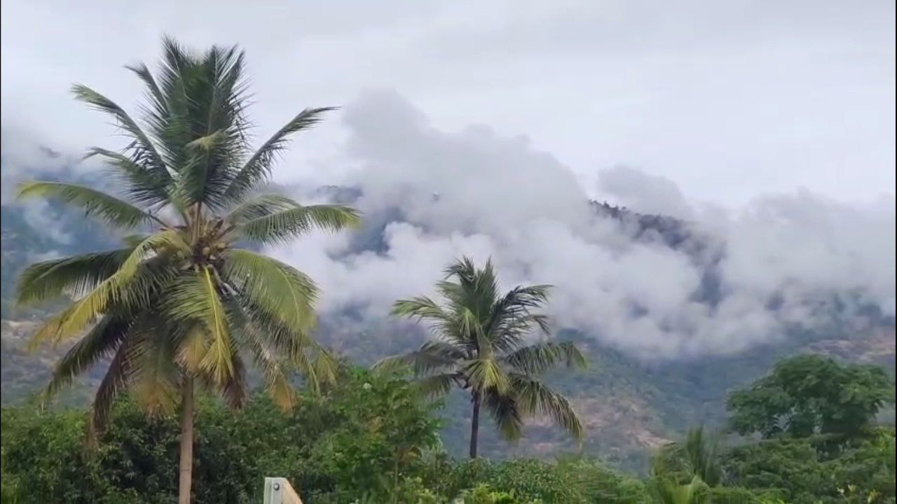 Meditation and Peace at Athmalinga Foundation